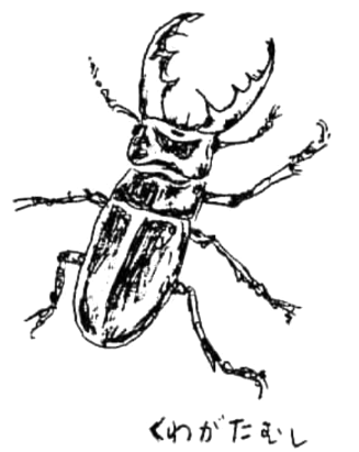 クワガタの絵