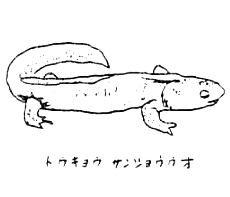 トウキョウサンショウウオの絵