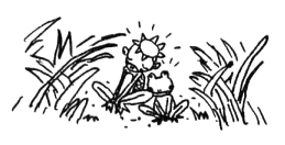 かっぱとカエルの絵