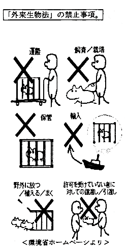 特定外来生物に対して禁止されている行為のイラスト
