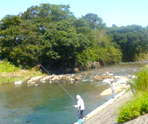 鮎つりの様子の写真