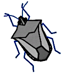 カメムシのイラスト