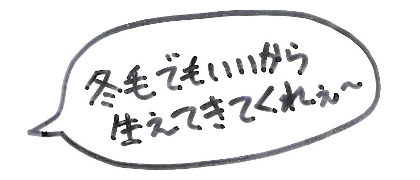「冬毛でいいから生えてきてくれぇ〜」の文字